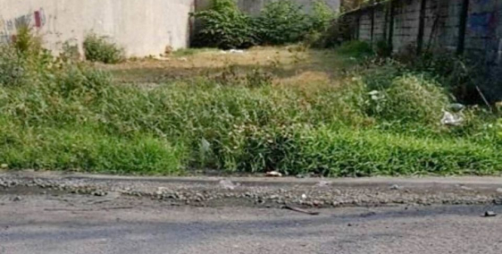 Chuyển nhượng rẻ lại lô mặt tiền đường tỉnh 8 Long An