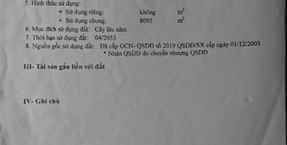 Bán đất  mặt tiền đường đê An Hòa, Tam Thôn Hiệp,  Cần Giờ, Tp Hcm