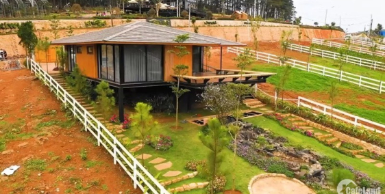 Nền biệt thự nghĩ dưỡng view đồi chè