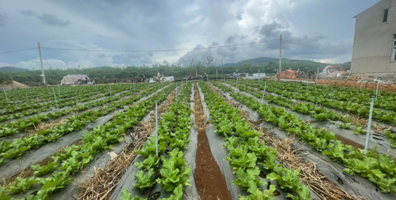 Bán 10x20 đất sẵn thổ cư tại Liên Hiệp, Đức Trọng giá chỉ 1 tỷ 950