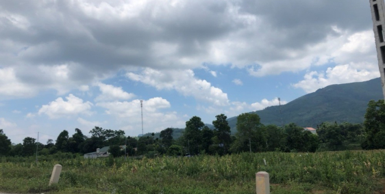 Hoa hậu Cần bán đất khu kinh tế Nhuận Trạch,Lương Sơn-Dự án dầu khí. 1000m2,6 tỷ