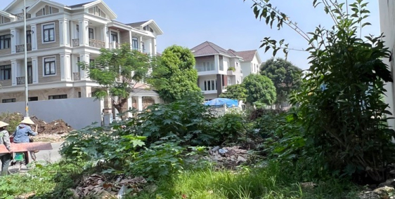 Chính chủ cần bán đất đường MT Bông Sao, P.5, Quận 8, giá 1.8 tỷ/100m2,