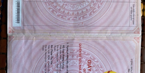 Cần Bán Ngay 1 Mẫu Đất CLN tại Thôn Cô Kiều Tân Thắng