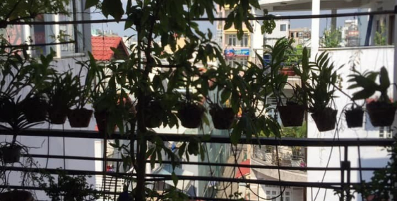 NHÀ ĐẸP, HXH, DT 60M2, 3 ĐƯỜNG THỐNG NHẤT, F11.GV. NHỈNH 6 TỶ