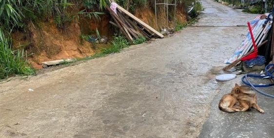 Chủ kẹt tiền bán gấp nhà đường Y DInh p5 đà lạt. giá 1tỷ950.