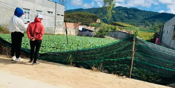 Bán 10x29 full thổ cư khu tái định cư Lạc Xuân, Đơn Dương giá 930tr