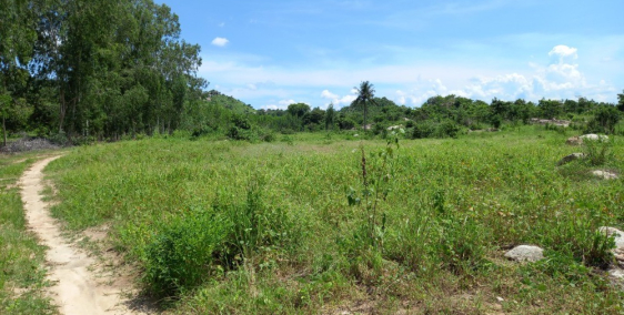 Đất bds ngộp giá đầu tư 20 mẫu 1,2 tỷ/mẫu Tân Lập Hàm Thuận Nam Bình Thuận