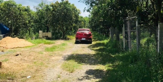 Cần bán vườn xoài ngay KDC, chợ ,trg học..cách Ql20 chỉ 1,5km