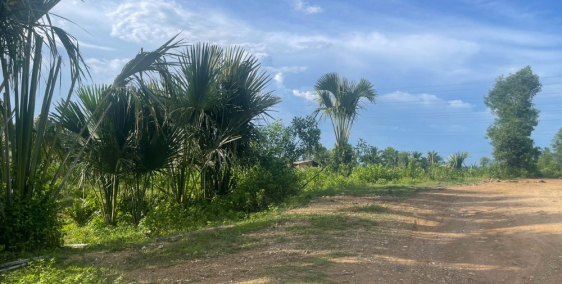 Đất bds Tân Xuân Hàm Tân mặt tiền đường Kênh Mương 10m 6,6 sào 2 tỷ giá đầu tư s