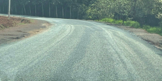 cần bán lô đất 1008m2 sầu riêng đường liên xã sổ riêng gần trung tâm hành chính