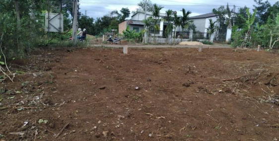 Chị tôi cần bán miếng đất gần UBND xã Tân Lợi ngang 25m dài 86m giá chỉ 450tr.