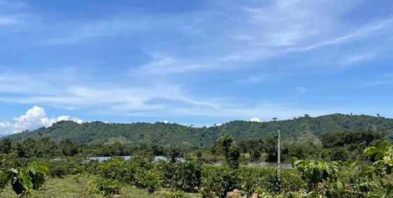 Bán gấp 240m2 đất (6x40) thổ cư 160m2 MT HL118