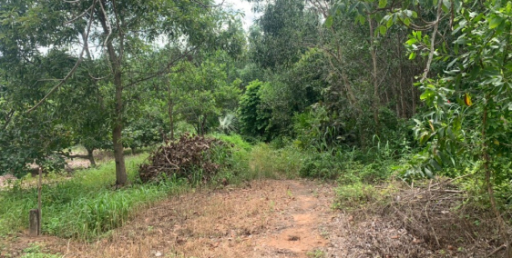 Đất ở 1 mẫu bds Thắng Hải Hàm Tân gần biển dân cư giá tốt đầu tư siêu lợi 4 tỷ t