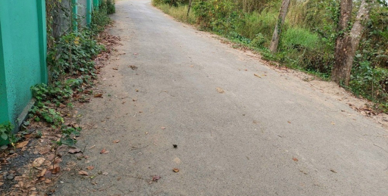 Cần Bán Gấp Lô Đất Vườn Hẻm Xe Tải Hương Lộ 11 Hưng Long Bình Chánh