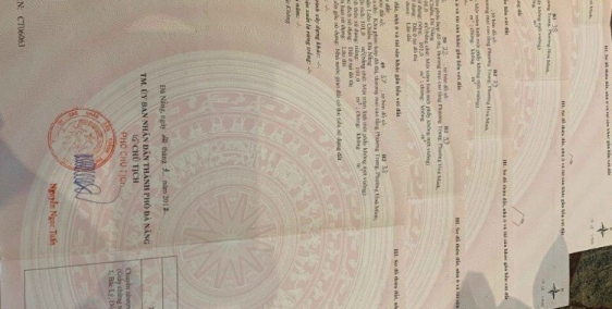 5 Lô Đất Biển TTTP Đà Nẵng Duy Nhất Với Giá 40tr/m2