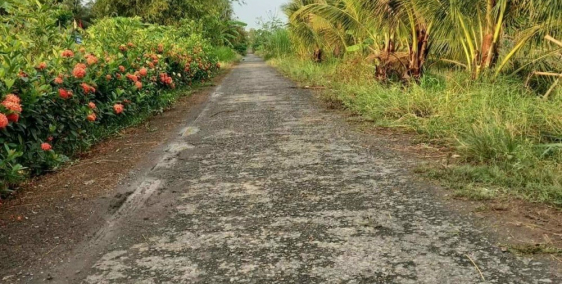 Bán đất 1000m2 xã Vĩnh Trung, huyện Vị Thuỷ, tỉnh Hậu Giang.