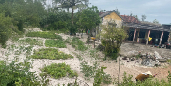 Đất chính chủ ven biển cần bán