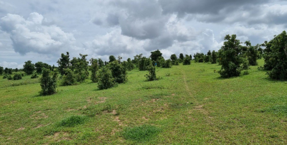 Cần Bán vài lô đất Hồng Liêm sát KDL Safari 3300ha Rạng Đông