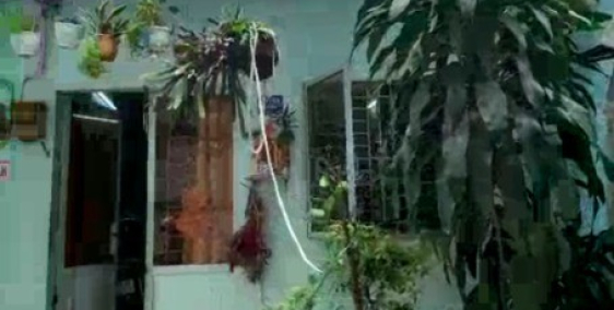 Bán nhà cấp 4 , dt 35m2 không lộ giới tại đường Hoà Hảo Quận 10