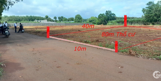 Mở bán đất nền còn vài lô khu vực Long Phước, 6,5 triệu/m2