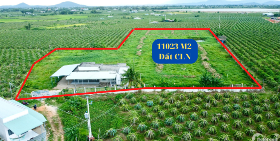 #0933239353_ Bán nhanh 1,1 Ha Đất  CLN Hàm Hiệp _Cách P 9Km_ Bán Nhanh 480Tr/Sào
