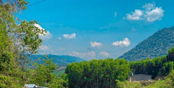 Chỉ còn vài suất ngoại giao giá rẻ như cho!!