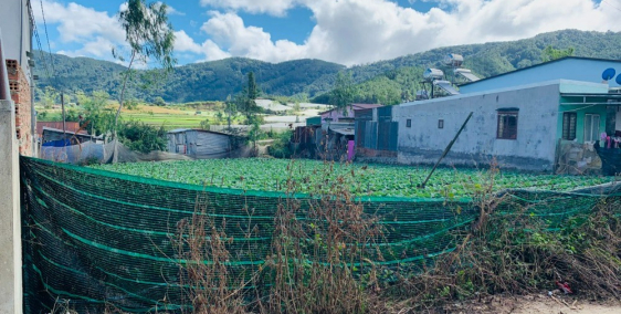 Bán 10x29m full thổ cư tại khu tái định cư Lạc Xuân, Đơn Dương giá 930tr