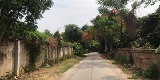 CỰC HIẾM! Đất Lâm Trường – Sóc Sơn, 2 Ô tô tránh, Giá đầu tư, 1800m2, 6 triệu/m2