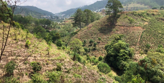 Chính chủ cần bán 1,4 ha ta đất vườn thuộc phường 10, TP Đà Lạt