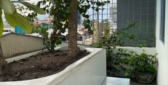 Căn hộ Thanh Phương trung tâm Q.3 nơi đất lành chim về làm tổ