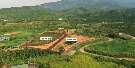 Bán đất nền biệt thự nghỉ dưỡng Tp Bảo Lộc