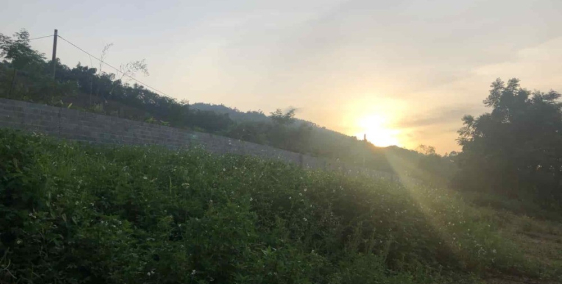 Hiếm có! Bán đất trang trại Hoà Bình. 3300m2 - View TP. Hà Nội. Giá nhỉnh 1tr/m