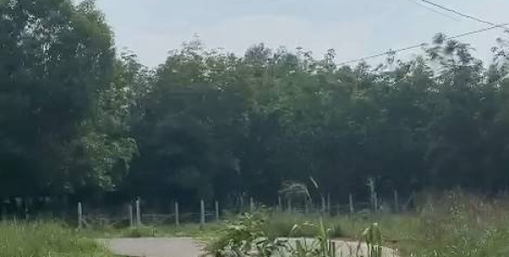 Cần Bán LÔ Đất MT Đường Nhơn Trạch . SHR.