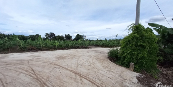 Bán vườn Sông thao. Trảng bom. Giá chỉ 870 triệu