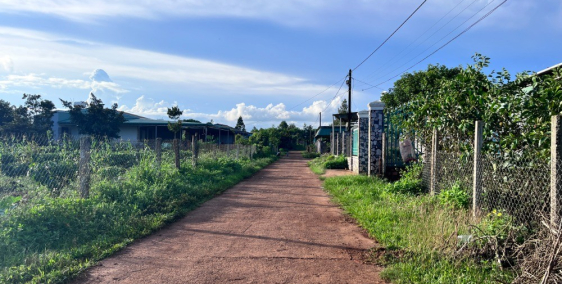 Cần bán đất thổ cư Biển Hồ - Hẻm 294 Tôn Đức Thắng