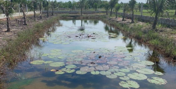 Bán gấp 1000m2 đất nằm trong quy hoạch Khu dân cư giá 1,2 tỷ