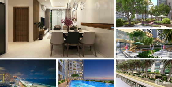 Căn hộ cao cấp Vũng Tàu chỉ với 45 triệu/m2 sở hữu lâu dài