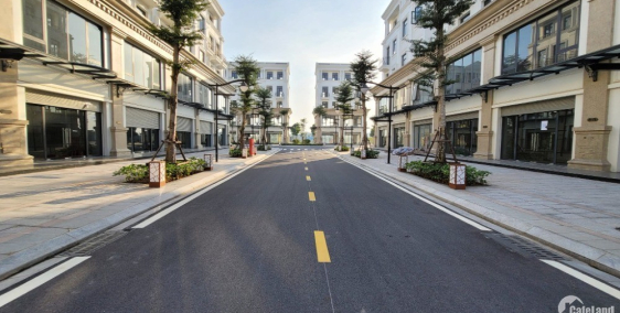 Cho thuê Shophouse 82,5m2 Vinhomes Ocean Park - Giá chỉ 12 triệu