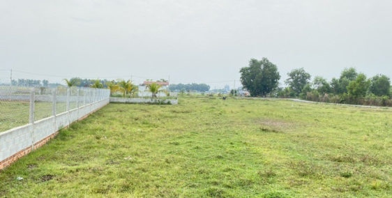 Hàng Ngộp Cần Bán Gấp Lô MT TL 816_ Thạnh Hòa Bến lức  2,2 ttỷ