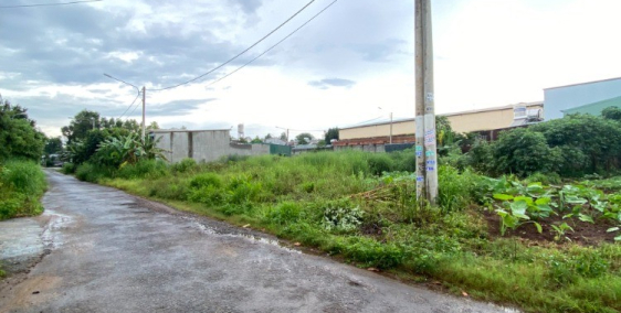 Bán Lô Đất Đường DÃ TƯỢNG phường TÂN AN - BMT