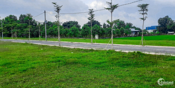 BÁN ĐẤT CHÍNH CHỦ ĐƯỜNG ĐỨC HÒA ĐÔNG – HUYỆN ĐỨC HÒA.