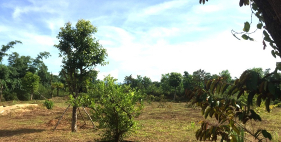 Bán 1,2ha Đất Nhà Vườn Chân Núi Thần Tài Hòa Vang Đà Nẵng 600m Đất Ở.SIÊU ĐẸP