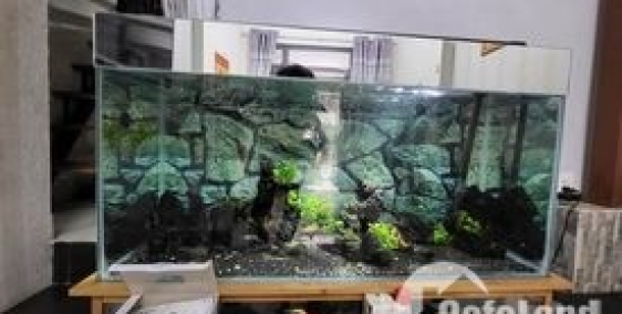 Bán gấp nhà C4 Điện Biên Phủ 50m2  x 1ty75