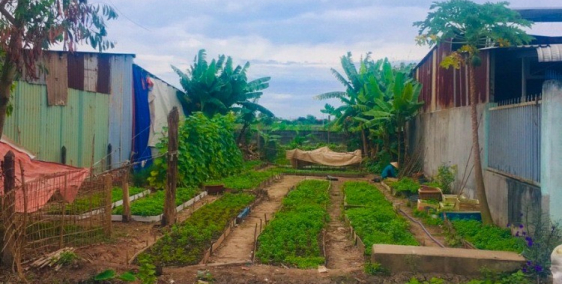 cần bán miếng đất mt đường nhựa 65 sát đường hồ văn tắng 50m 90m2 thổ 1ty600