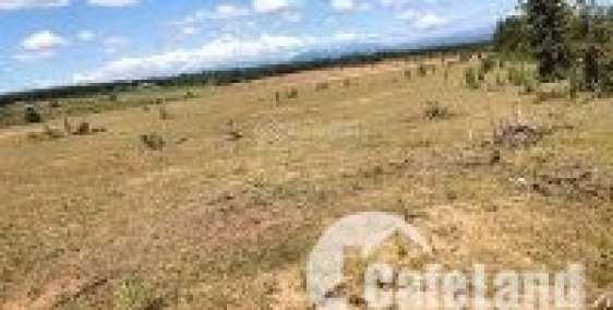 7060m2 đất Bình Thuận gía 776tr, sổ sẵn, gần KDC, sát đường nhựa