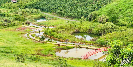 ĐẤT VÀNG NAM ĐÀ LẠT TRỌNG ĐIỂM DU LỊCH, CÓ SẴN THỔ CƯ GIÁ RẺ CHỈ TỪ VÀI TRIỆU