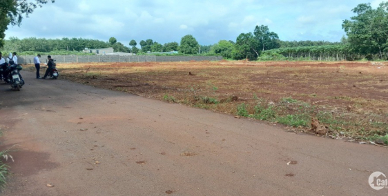 Sổ đỏ trao tay, nhận ngay nền đất đẹp trung tâm TP. Bà Rịa.