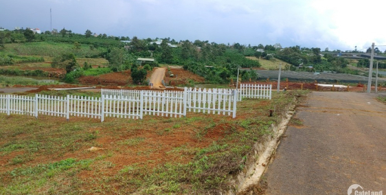 Bán đất thổ cư Bảo Lộc, view đẹp, ngay trung tâm TP