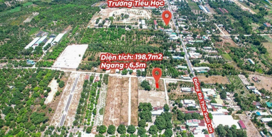 CHÍNH CHỦ BÁN LÔ ĐẤT MẶT TIỀN VỊ TRÍ ĐẸP TẠI THÔN TÂN SINH TÂY,CAM THÀNH BẮC