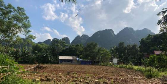 Bán đất Chợ Bến Hoà Bình. 1400m2 - QL 21A 50m, ô tô vào đất. Chỉ nhỉnh 2 tỷ